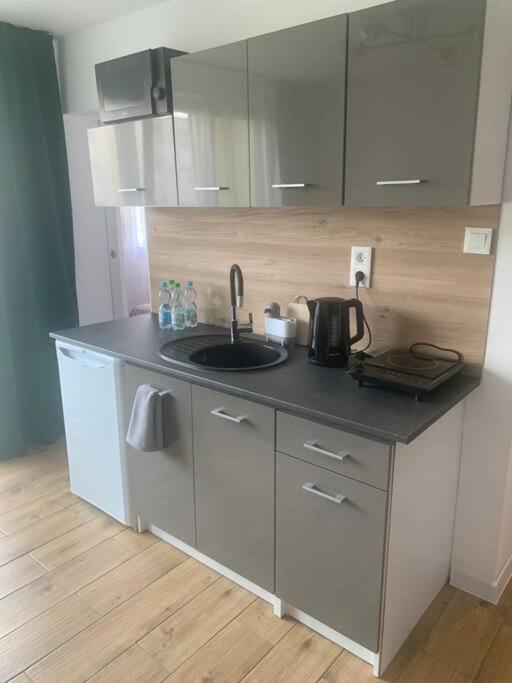 Uroczy Apartament W Centrum Sandomierza Сандомир Екстер'єр фото